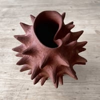 Image 1 of Coquille rouge