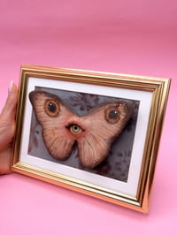 Image 2 of Pop Surreal Butterfly with Eye