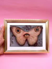 Image 3 of Pop Surreal Butterfly with Eye