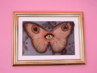 Image 1 of Pop Surreal Butterfly with Eye