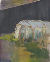 Invernadero raro (20x25cm)