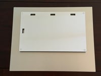 Image 2 of Striped Shore Crab