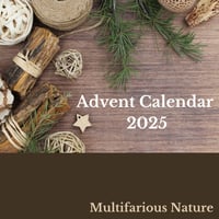 Advent Calendar 2025 Pre-Order