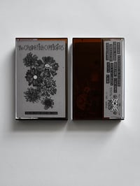 Image 4 of THE CRUSTER FILTH COMPILATIONS Vol.III: GAZE INTO THE VOID Cassette