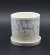 Cache - Pot #1