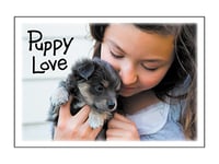 puppy love - P0032
