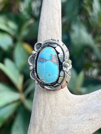 Sterling Silver & Golden Hills Garden Ring Sz 7
