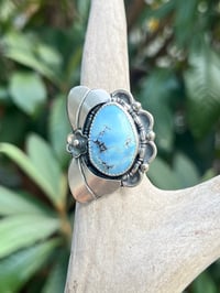 Sterling Silver & Golden Hills Garden Ring Sz 8