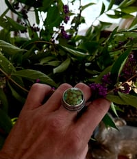 Image 2 of High Bezel Turquoise Ring Sterling Silver 