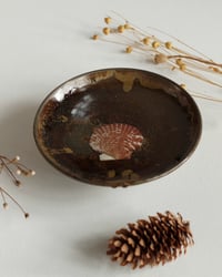 Image 2 of Shallow Footed Bowl-Black Gloss