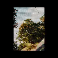 Image 4 of TREE 3D PRINT