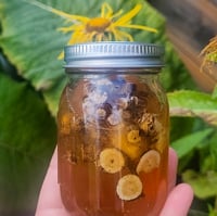 Image 1 of Elecampane Honey (preorder)
