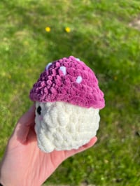 Image 2 of MUSHROOM
