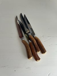 Image 1 of Antler Handles, 'Taylor Eye Witness', Serrated Stainless Steel Steak Knife Set
