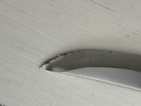 Image 9 of Antler Handles, 'Taylor Eye Witness', Serrated Stainless Steel Steak Knife Set