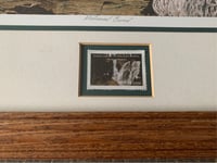 Image 2 of Marten Visser Eagle Print, Signed & Numbered, Framed Wildlife Art