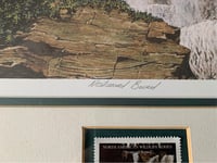 Image 3 of Marten Visser Eagle Print, Signed & Numbered, Framed Wildlife Art