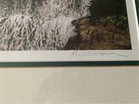 Image 4 of Marten Visser Eagle Print, Signed & Numbered, Framed Wildlife Art