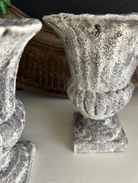 Image 7 of Cement Urn, Garden Urn