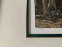 Image 5 of Marten Visser Eagle Print, Signed & Numbered, Framed Wildlife Art