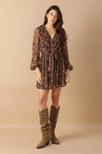 Image 3 of Harvest Mini Dress 