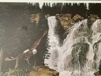 Image 10 of Marten Visser Eagle Print, Signed & Numbered, Framed Wildlife Art