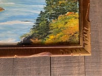 Image 2 of British Columbia Painting in Wood Frame (16x20)