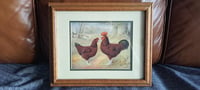 Image 2 of "Red Sussex" Print, A.J. Simpson, Feathered World Animal Art, 8x10