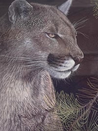 Image 1 of "Watchful Eye" Print by Canadian Artist Randy Fehr