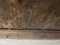 Image 10 of Heavy Wood Door with Hinges, Architectural Salvage