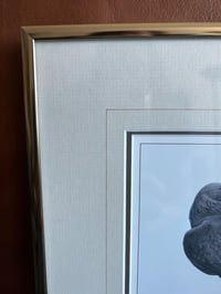 Image 5 of Golden Eagle Print by Luke Raffin, Nature