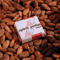 Image 1 of Spirit Potion Enigma Chocolate Bar 