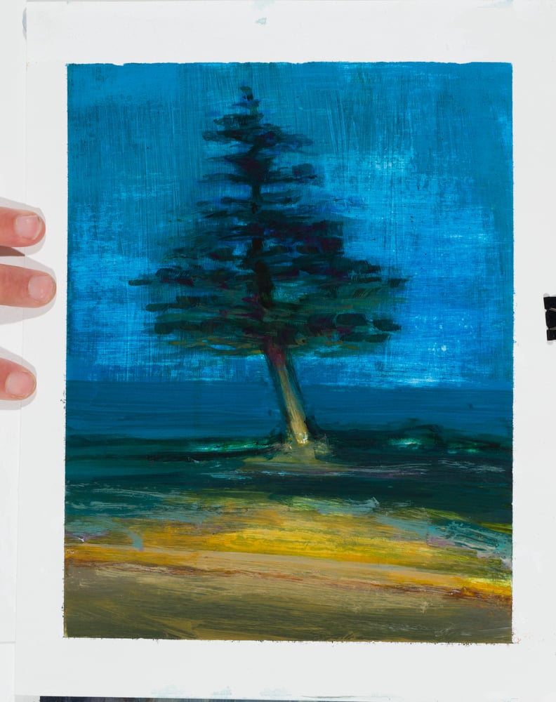 Image of Loner Pine