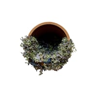 Image 3 of FHOS - Garden