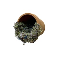 Image 2 of FHOS - Garden