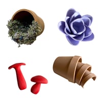 Image 1 of FHOS - Garden