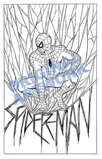 Original Art: Spider-Man