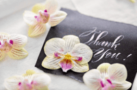 Image 2 of DIY - Pressed Flower Drying Cards