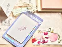 Image 2 of Scented White - Pressed Flower Drying Cards