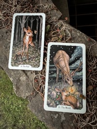 Email In Depth Tarot Card Reading
