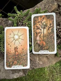 Email Mini Card Reading