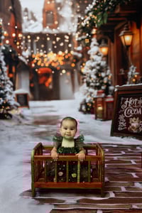 3. 2025 Holiday Minis November 22nd