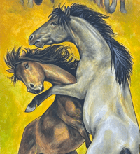 Image 1 of Sparring Wild Stallions with Mares