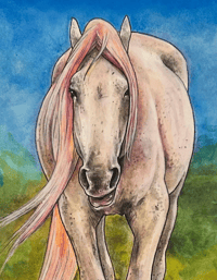 Image 1 of Old Man the Mustang