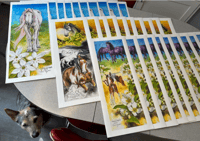 Image 2 of Picasso with Mares and Oregon Grape