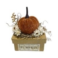 Velvet Pumpkin Box