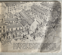 Image 4 of A History of The Countryside A Picture Puffin Book