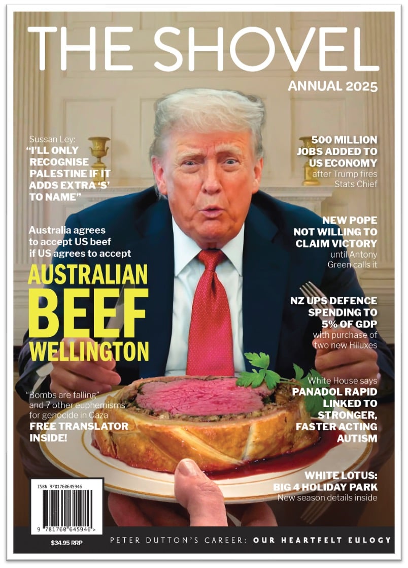Image of The Shovel Annual 2025