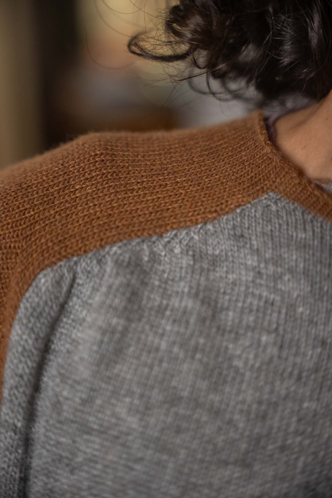 Image of Maglione BICOLOR nocciola&grigio