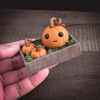 Image 2 of Pumpkin crate